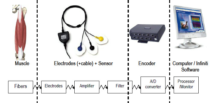 signal processing